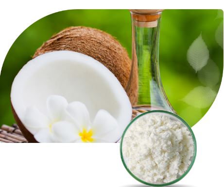 MCT Oil Powder-1 MCT Oil Powder-1
