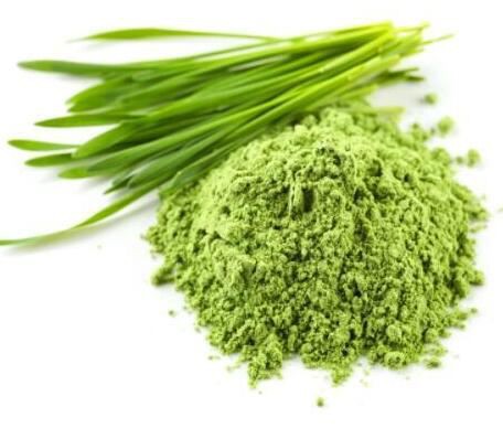 Wheatgrass Powder Bulk