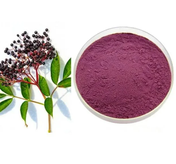 black elderberry powder