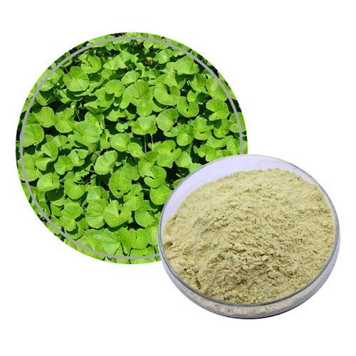 Extrakt z Gotu Kola