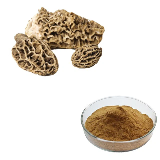 Morel Powder