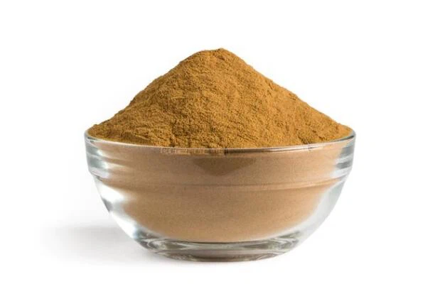 Organický houbový prášek Reishi