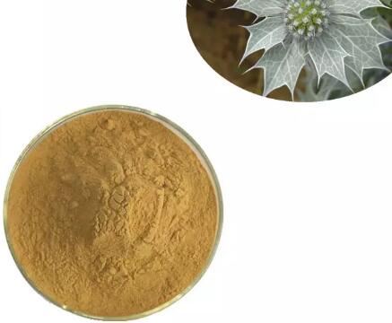 Extrakt z Eryngium Maritimum